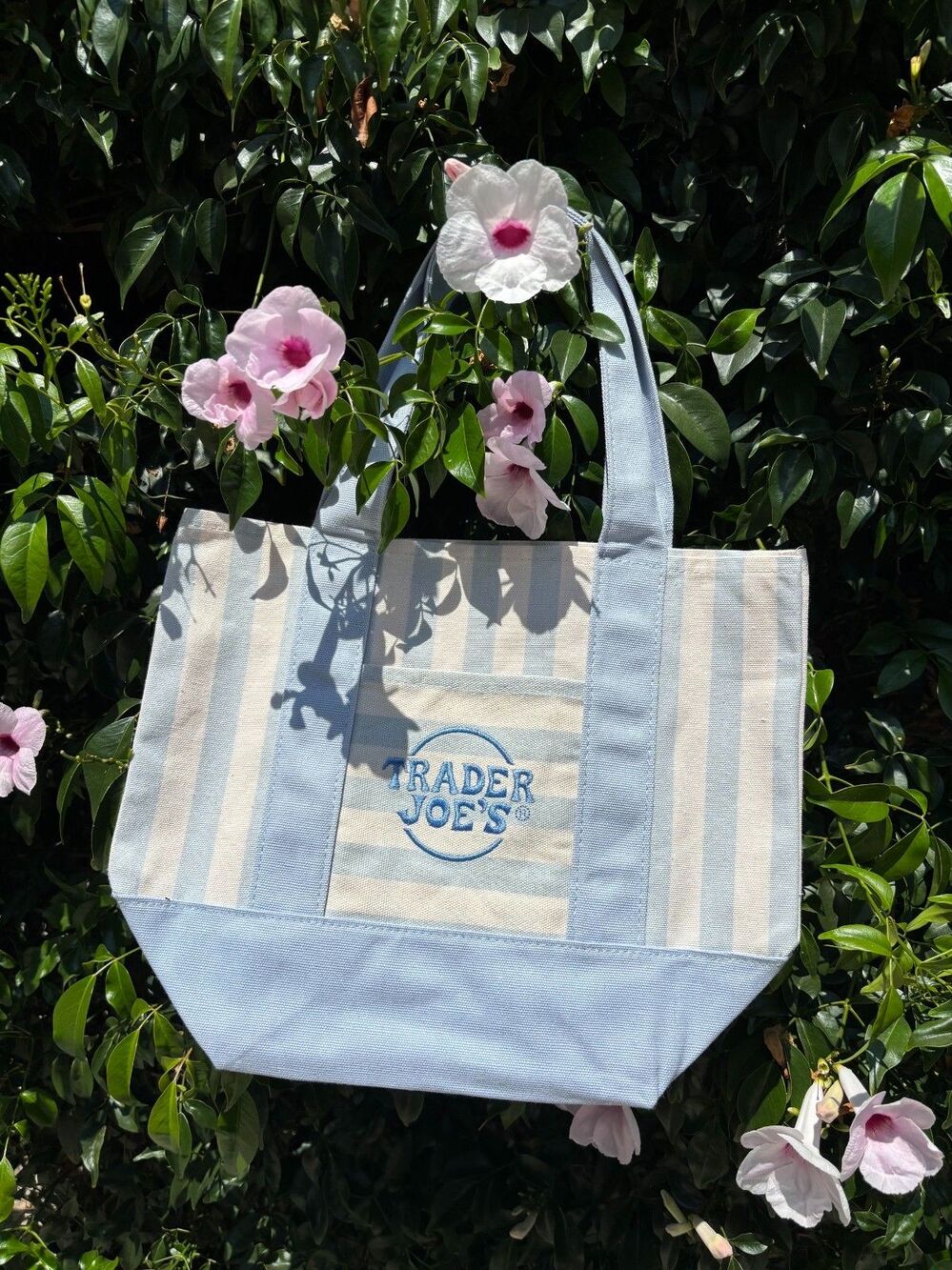 Trader Joe's Striped Mini Canvas Tote Bag Blue & White NWT Cottagecore Summer